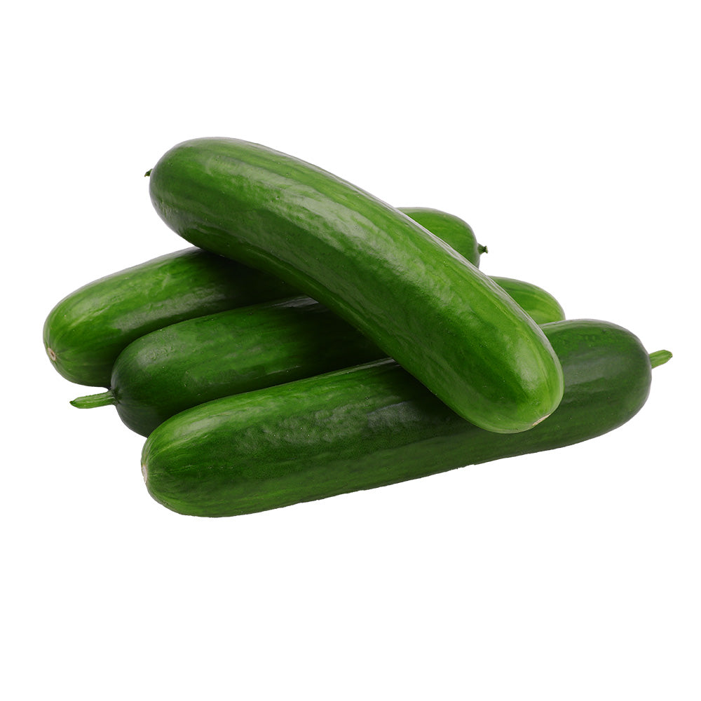 Farm Rene Cucumber, price per kg