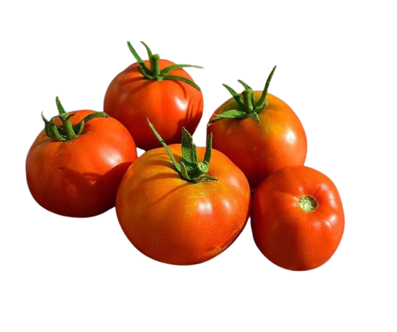 Farm Tomato, price per kg