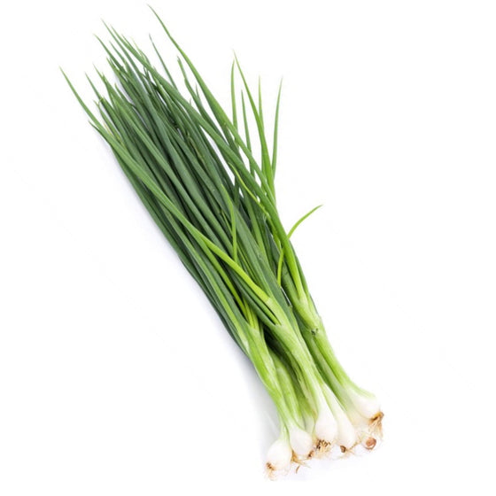 Fresh Spring Onion, hydroponic